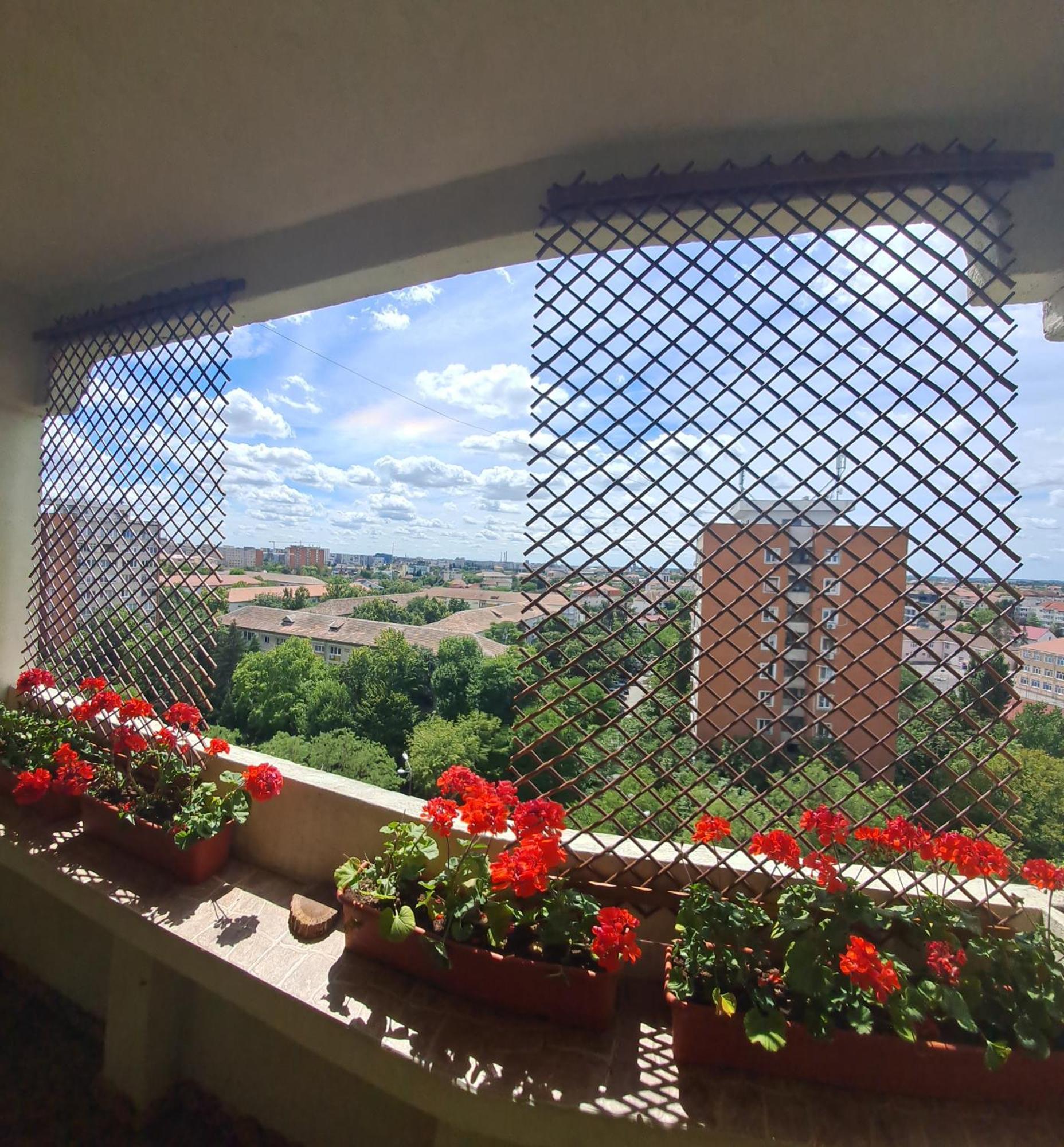 Happy Station Apartment Timisoara Room photo